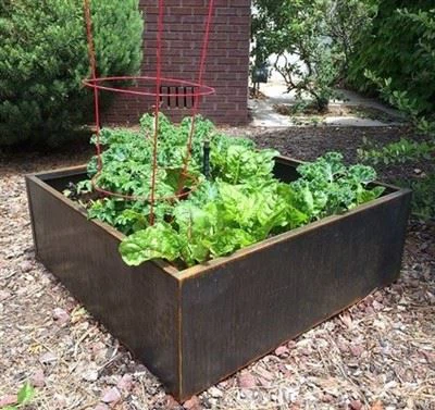 Rusty Flower Pots Rusty Flower Pots